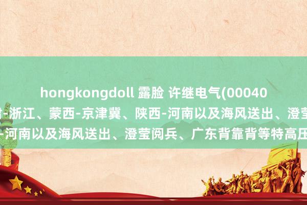 hongkongdoll 露脸 许继电气(000400.SZ)：现在在跟进的有甘肃-浙江、蒙西-京津冀、陕西-河南以及海风送出、澄莹阅兵、广东背靠背等特高压名目