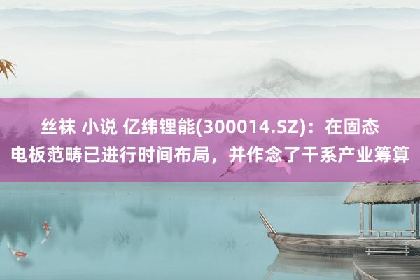 丝袜 小说 亿纬锂能(300014.SZ)：在固态电板范畴已进行时间布局，并作念了干系产业筹算