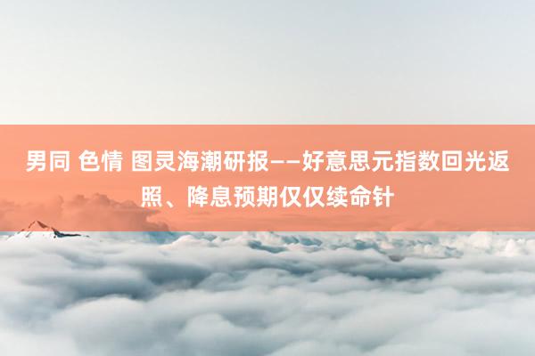 男同 色情 图灵海潮研报——好意思元指数回光返照、降息预期仅仅续命针