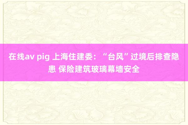 在线av pig 上海住建委：“台风”过境后排查隐患 保险建筑玻璃幕墙安全