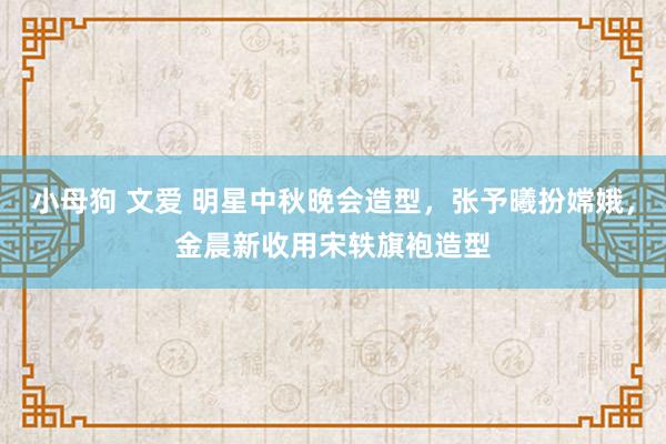 小母狗 文爱 明星中秋晚会造型，张予曦扮嫦娥，金晨新收用宋轶旗袍造型