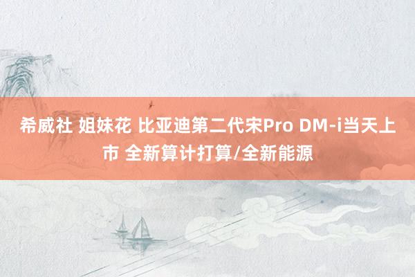 希威社 姐妹花 比亚迪第二代宋Pro DM-i当天上市 全新算计打算/全新能源