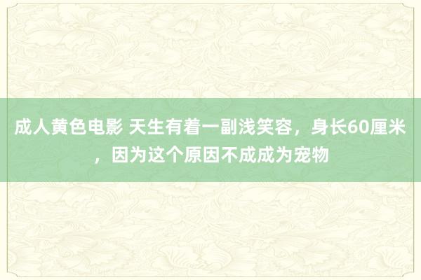 成人黄色电影 天生有着一副浅笑容，身长60厘米，因为这个原因不成成为宠物