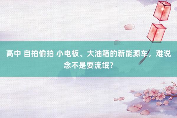 高中 自拍偷拍 小电板、大油箱的新能源车，难说念不是耍流氓？