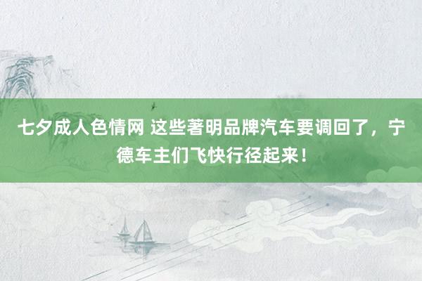 七夕成人色情网 这些著明品牌汽车要调回了，宁德车主们飞快行径起来！