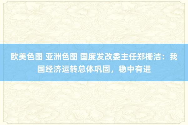 欧美色图 亚洲色图 国度发改委主任郑栅洁：我国经济运转总体巩固，稳中有进