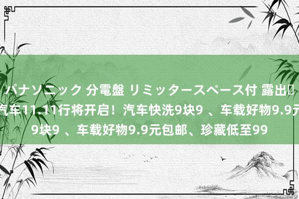 パナソニック 分電盤 リミッタースペース付 露出・半埋込両用形 京东汽车11.11行将开启！汽车快洗9块9 、车载好物9.9元包邮、珍藏低至99