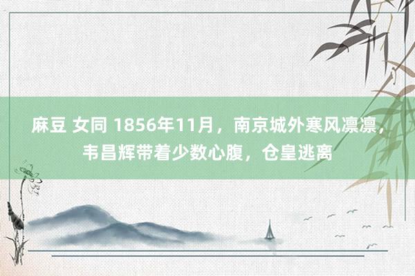 麻豆 女同 1856年11月，南京城外寒风凛凛，韦昌辉带着少数心腹，仓皇逃离