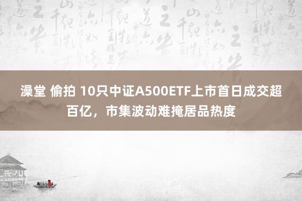 澡堂 偷拍 10只中证A500ETF上市首日成交超百亿，市集波动难掩居品热度