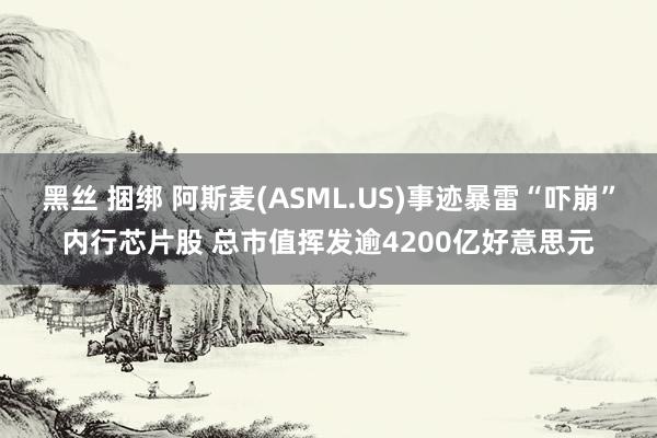 黑丝 捆绑 阿斯麦(ASML.US)事迹暴雷“吓崩”内行芯片股 总市值挥发逾4200亿好意思元