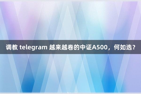 调教 telegram 越来越卷的中证A500，何如选？