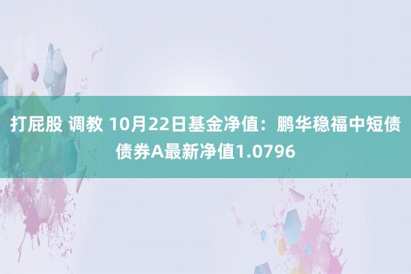 打屁股 调教 10月22日基金净值：鹏华稳福中短债债券A最新净值1.0796