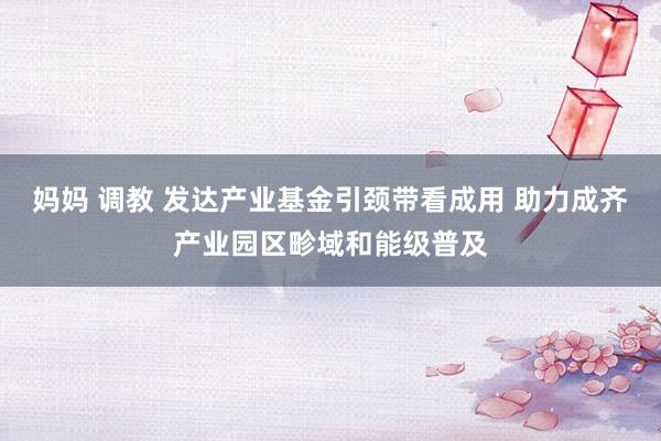 妈妈 调教 发达产业基金引颈带看成用 助力成齐产业园区畛域和能级普及