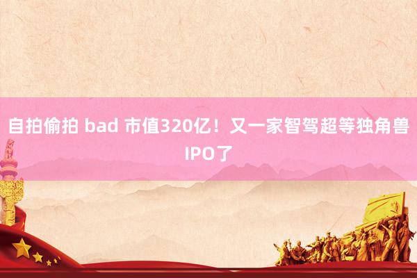 自拍偷拍 bad 市值320亿！又一家智驾超等独角兽IPO了