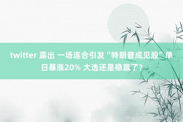 twitter 露出 一场连合引发“特朗普成见股”单日暴涨20% 大选还是稳赢了？