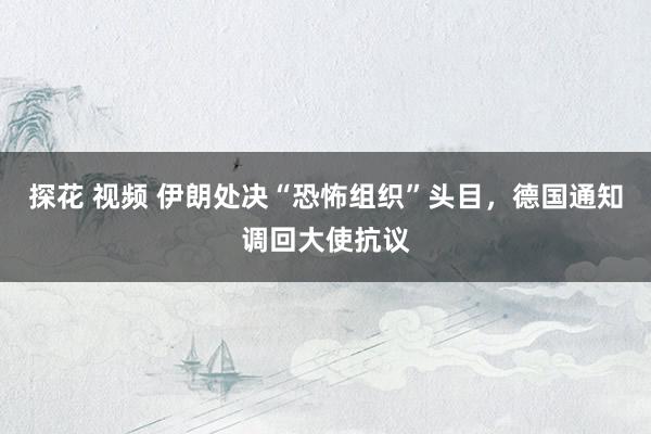 探花 视频 伊朗处决“恐怖组织”头目，德国通知调回大使抗议