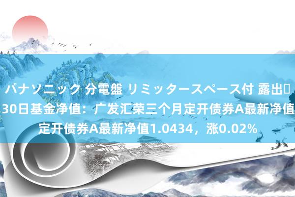 パナソニック 分電盤 リミッタースペース付 露出・半埋込両用形 10月30日基金净值：广发汇荣三个月定开债券A最新净值1.0434，涨0.02%