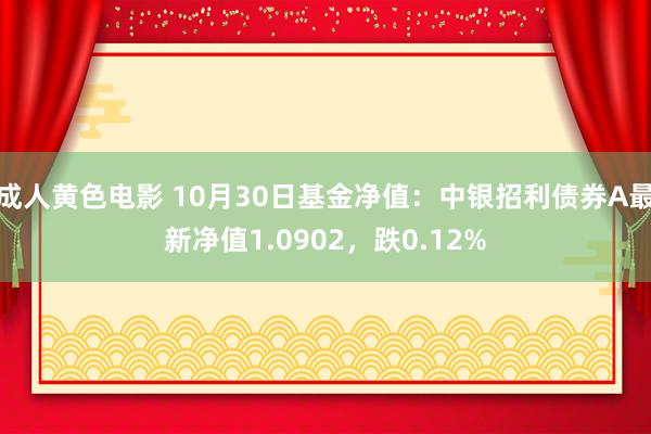 成人黄色电影 10月30日基金净值：中银招利债券A最新净值1.0902，跌0.12%