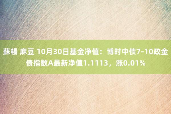 蘇暢 麻豆 10月30日基金净值：博时中债7-10政金债指数A最新净值1.1113，涨0.01%