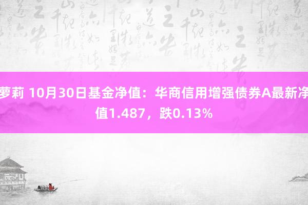 萝莉 10月30日基金净值：华商信用增强债券A最新净值1.487，跌0.13%