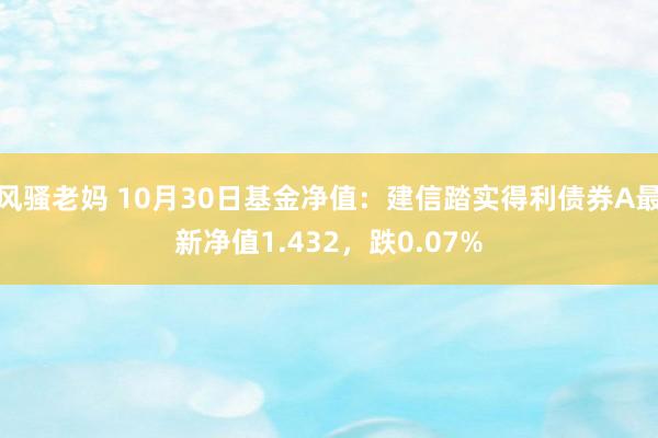 风骚老妈 10月30日基金净值：建信踏实得利债券A最新净值1.432，跌0.07%