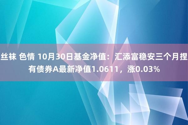 丝袜 色情 10月30日基金净值：汇添富稳安三个月捏有债券A最新净值1.0611，涨0.03%