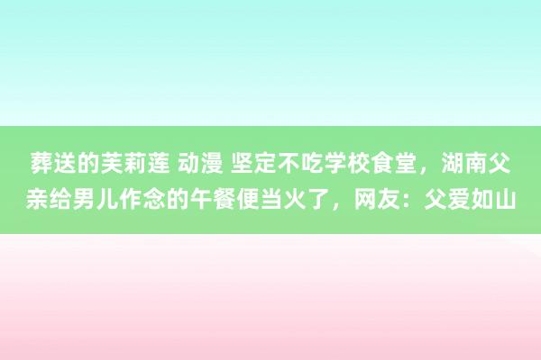 葬送的芙莉莲 动漫 坚定不吃学校食堂，湖南父亲给男儿作念的午餐便当火了，网友：父爱如山