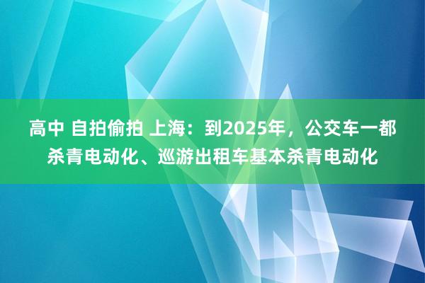 高中 自拍偷拍 上海：到2025年，公交车一都杀青电动化、巡游出租车基本杀青电动化