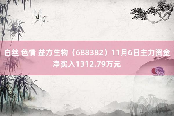 白丝 色情 益方生物（688382）11月6日主力资金净买入1312.79万元