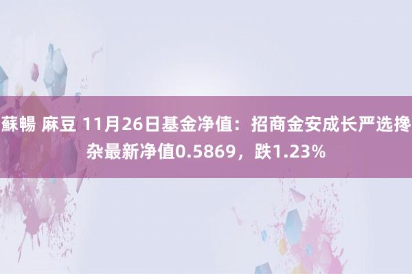 蘇暢 麻豆 11月26日基金净值：招商金安成长严选搀杂最新净值0.5869，跌1.23%