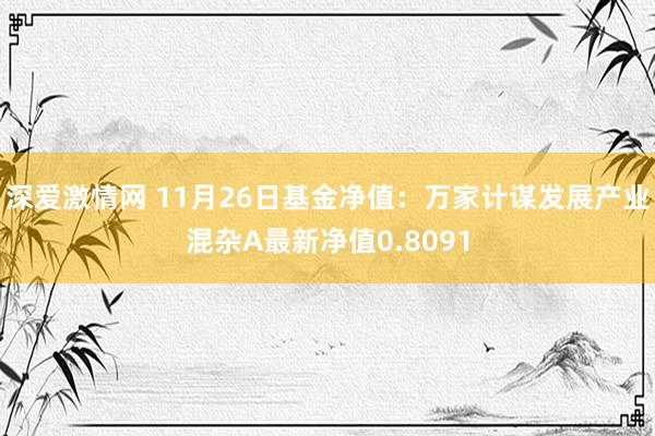 深爱激情网 11月26日基金净值：万家计谋发展产业混杂A最新净值0.8091