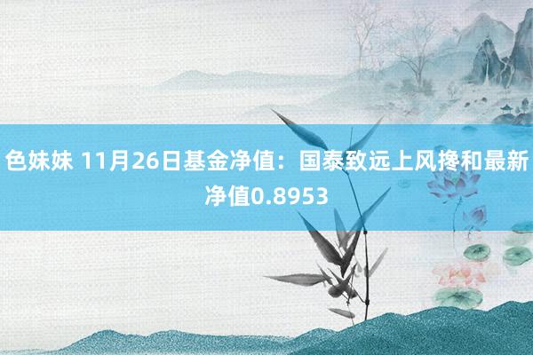 色妹妹 11月26日基金净值：国泰致远上风搀和最新净值0.8953