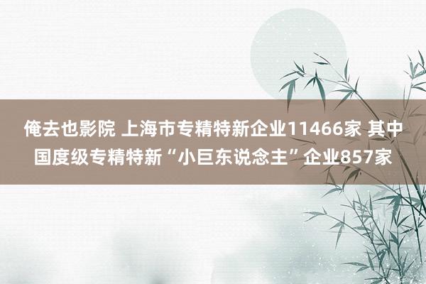 俺去也影院 上海市专精特新企业11466家 其中国度级专精特新“小巨东说念主”企业857家