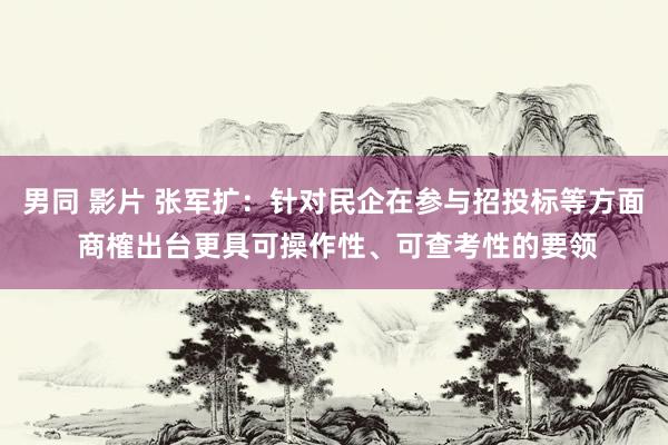 男同 影片 张军扩：针对民企在参与招投标等方面 商榷出台更具可操作性、可查考性的要领