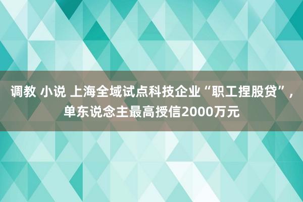 调教 小说 上海全域试点科技企业“职工捏股贷”，单东说念主最高授信2000万元