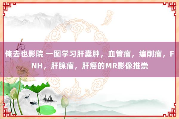 俺去也影院 一图学习肝囊肿，血管瘤，编削瘤，FNH，肝腺瘤，肝癌的MR影像推崇