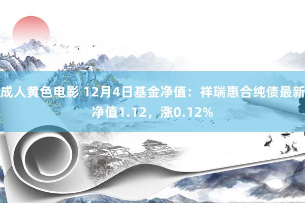 成人黄色电影 12月4日基金净值：祥瑞惠合纯债最新净值1.12，涨0.12%