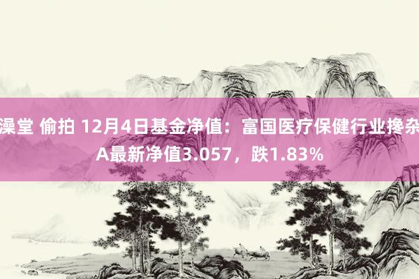 澡堂 偷拍 12月4日基金净值：富国医疗保健行业搀杂A最新净值3.057，跌1.83%