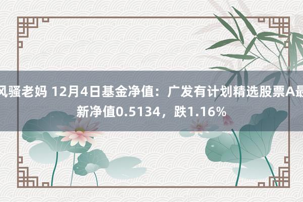 风骚老妈 12月4日基金净值：广发有计划精选股票A最新净值0.5134，跌1.16%