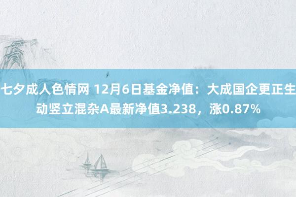 七夕成人色情网 12月6日基金净值：大成国企更正生动竖立混杂A最新净值3.238，涨0.87%