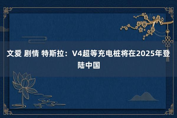 文爱 剧情 特斯拉：V4超等充电桩将在2025年登陆中国