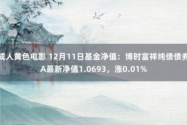 成人黄色电影 12月11日基金净值：博时富祥纯债债券A最新净值1.0693，涨0.01%