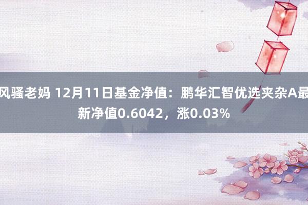 风骚老妈 12月11日基金净值：鹏华汇智优选夹杂A最新净值0.6042，涨0.03%