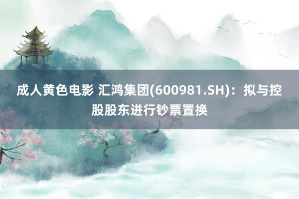 成人黄色电影 汇鸿集团(600981.SH)：拟与控股股东进行钞票置换