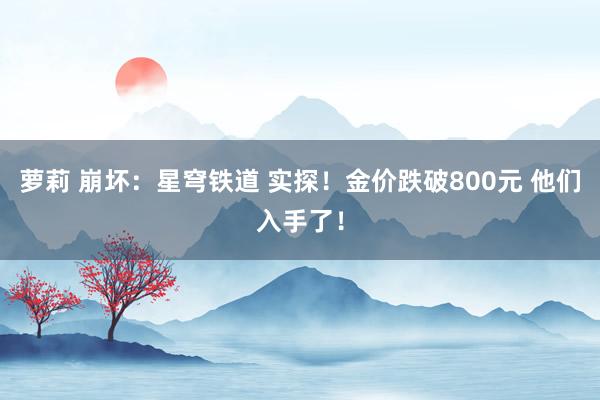 萝莉 崩坏：星穹铁道 实探！金价跌破800元 他们入手了！