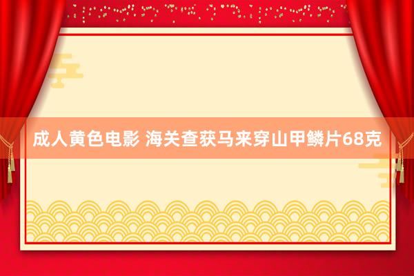 成人黄色电影 海关查获马来穿山甲鳞片68克