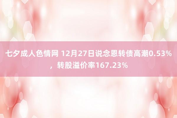 七夕成人色情网 12月27日说念恩转债高潮0.53%，转股溢价率167.23%