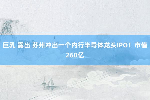 巨乳 露出 苏州冲出一个内行半导体龙头IPO！市值260亿