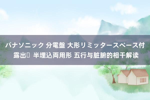 パナソニック 分電盤 大形リミッタースペース付 露出・半埋込両用形 五行与脏腑的相干解读