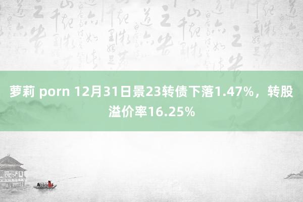 萝莉 porn 12月31日景23转债下落1.47%，转股溢价率16.25%